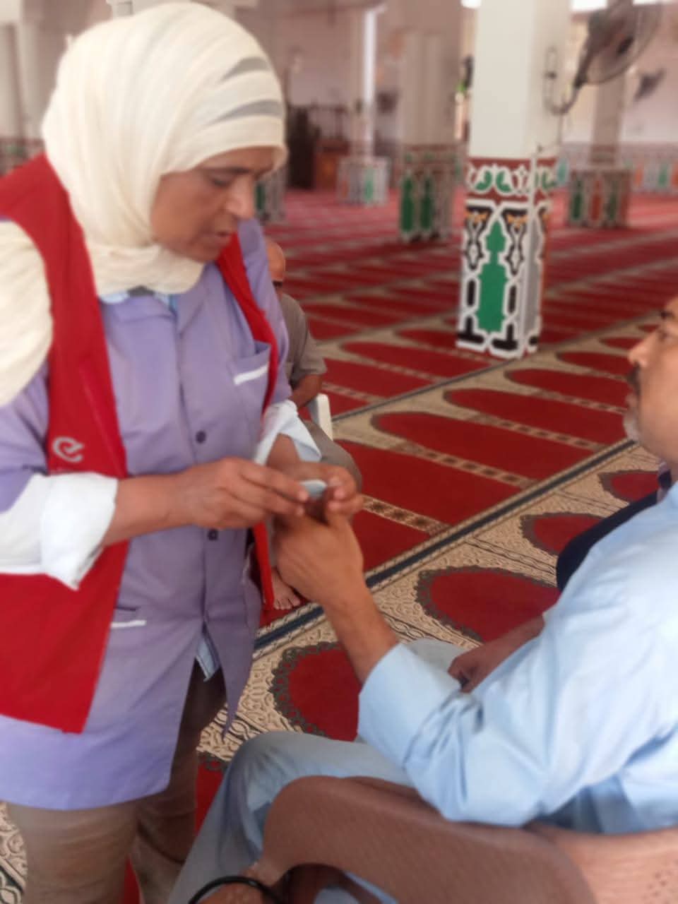 جانب من الحملة، فيتو