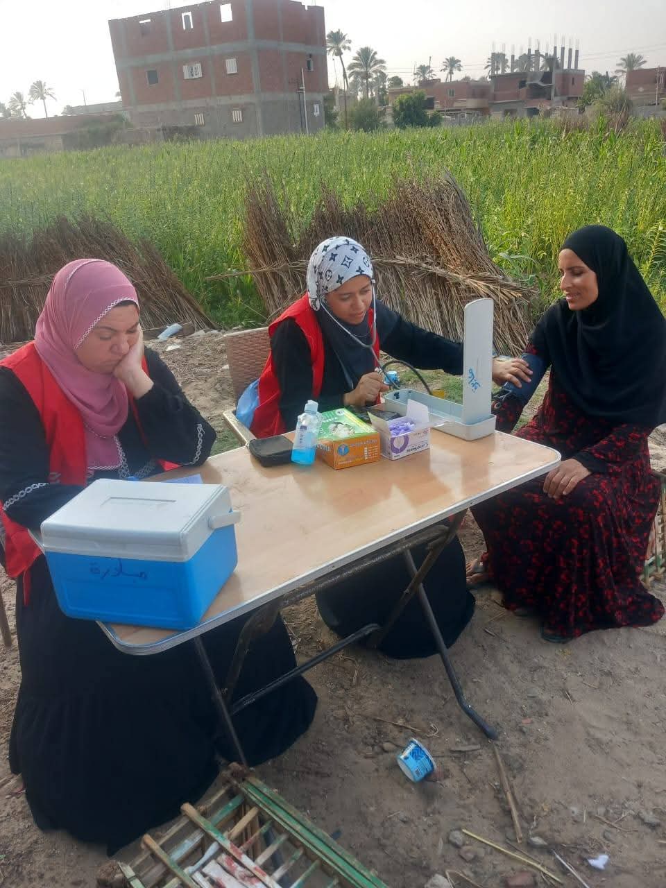 جانب من الحملة، فيتو