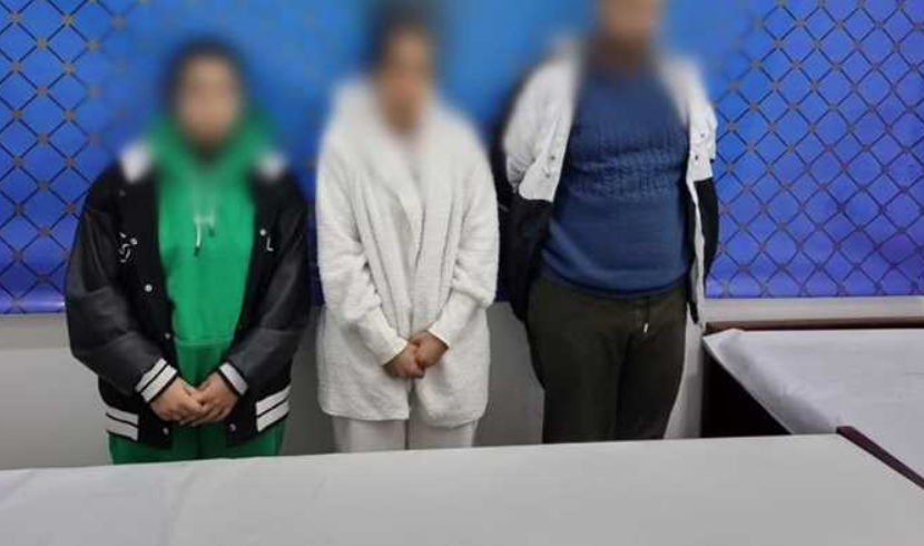 معاقبة المسيئين على مواقع التواصل، فيتو