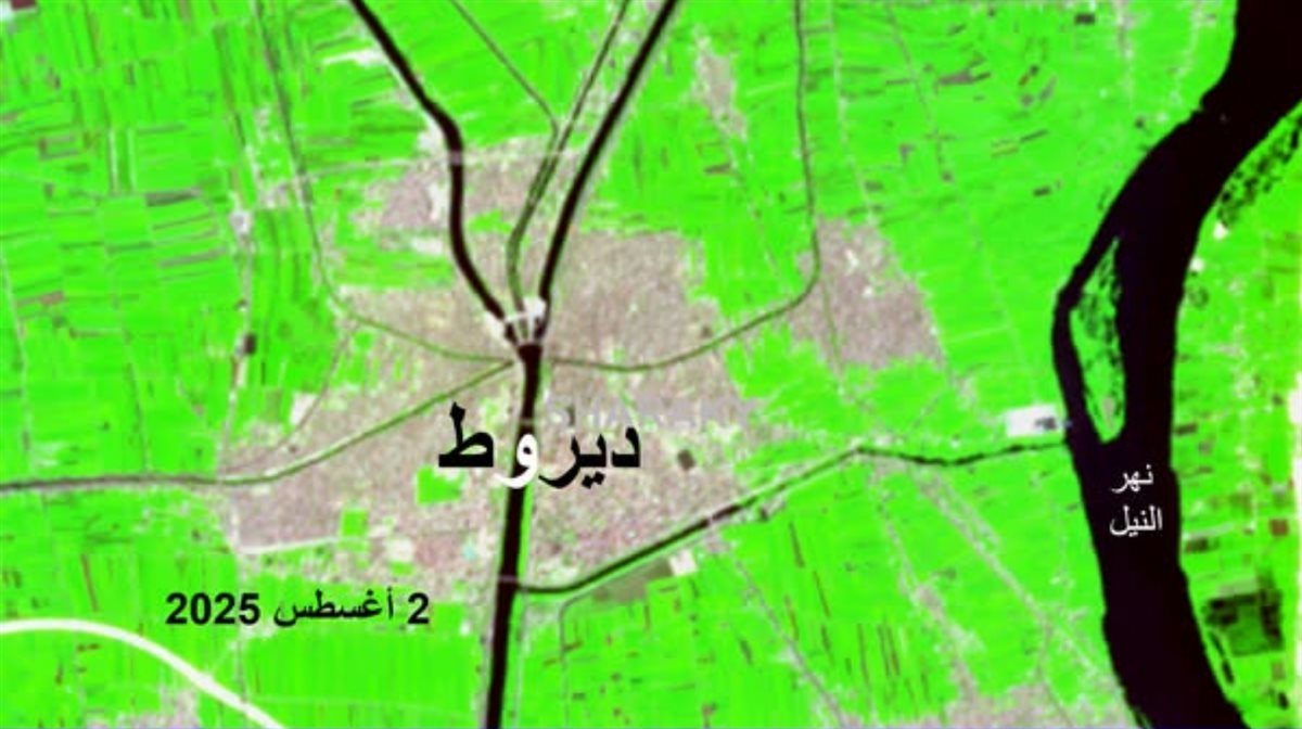 قناطر ديروط الجديدة،فيتو