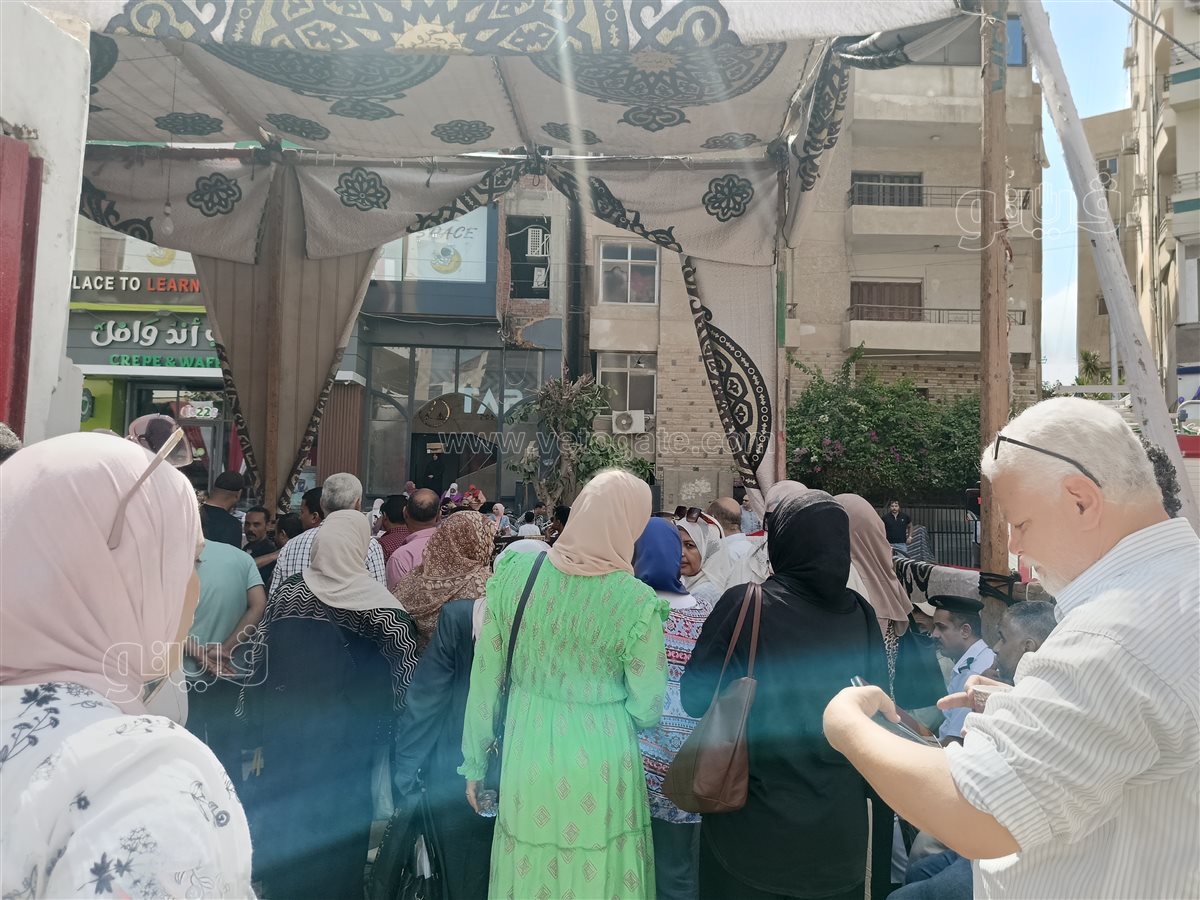 انتخابات الشيوخ بالشرقية،فيتو