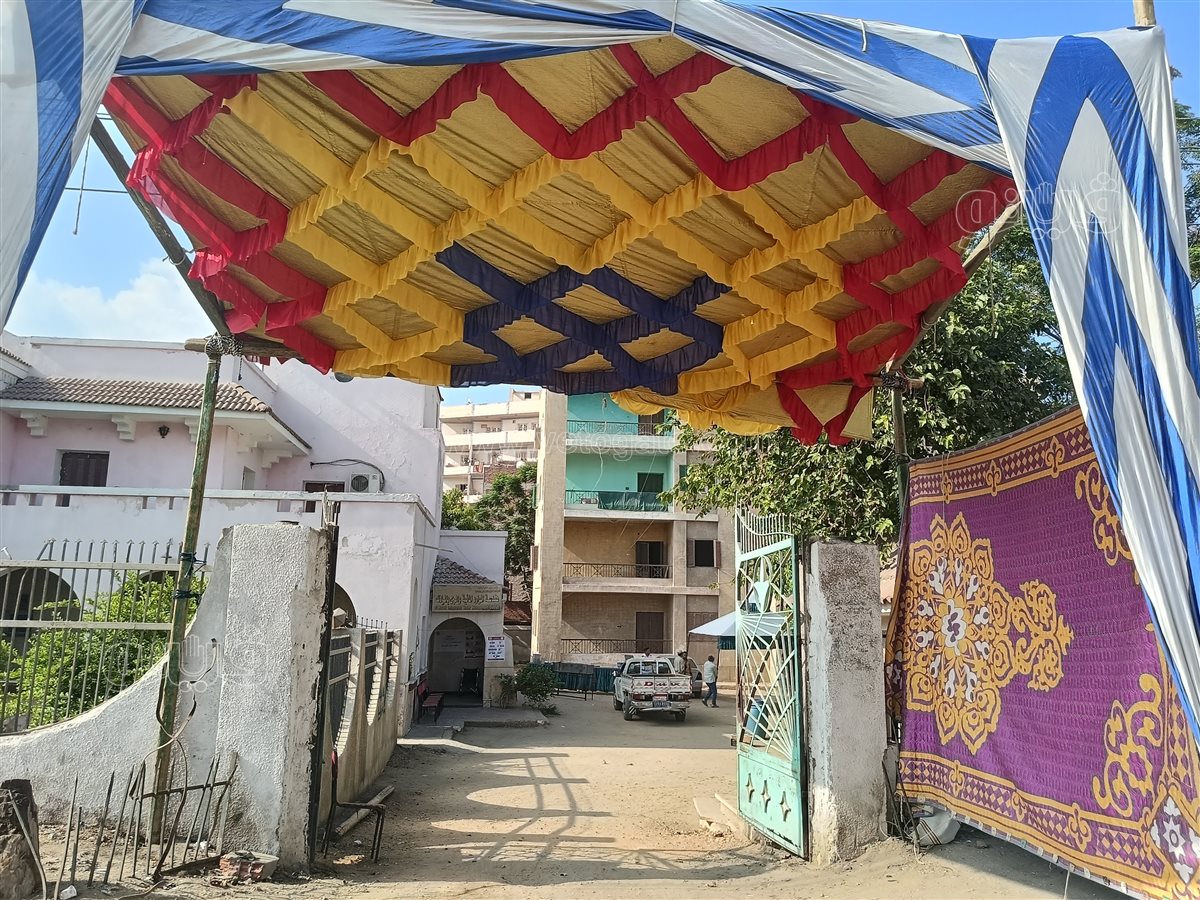 انتخابات الشيوخ،فيتو