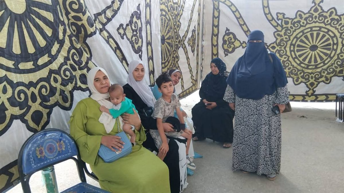 جانب من عمليات التصويت بلجان الإسماعيلية، فيتو