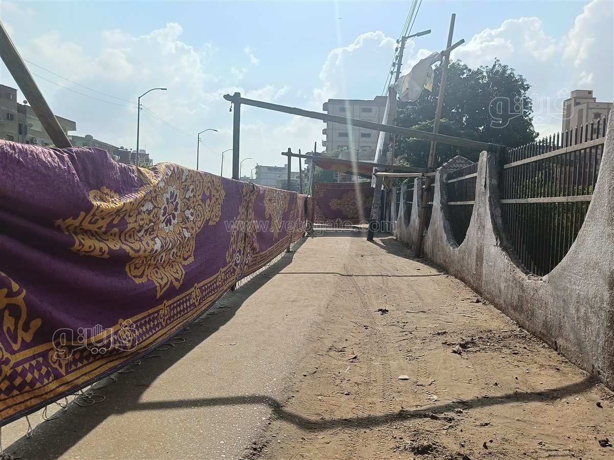 انتخابات الشيوخ،فيتو