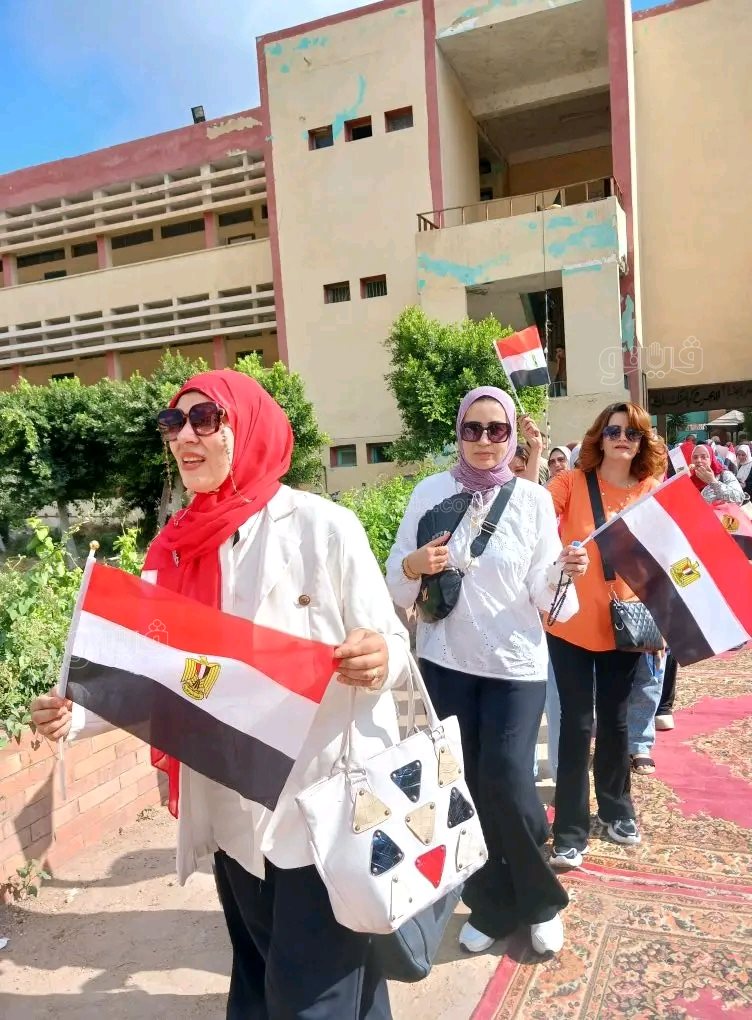 انتخابات مجلس الشيوخ،فيتو