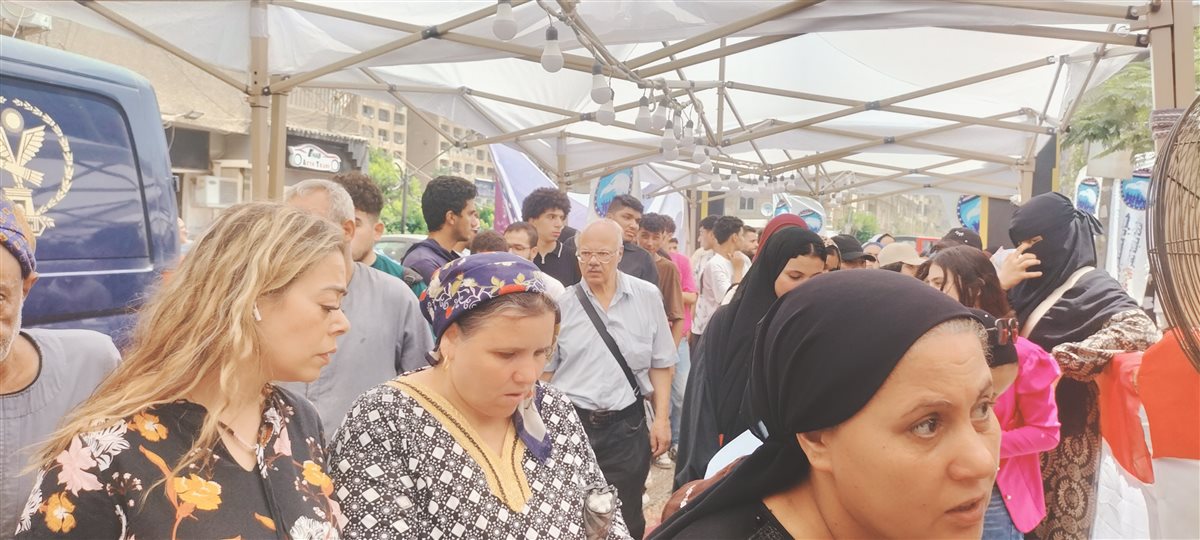 انتخابات مجلس الشيوخ 2025