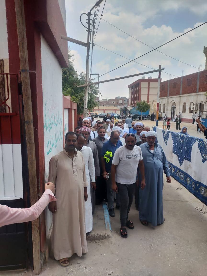 جانب من الانتخابات، فيتو