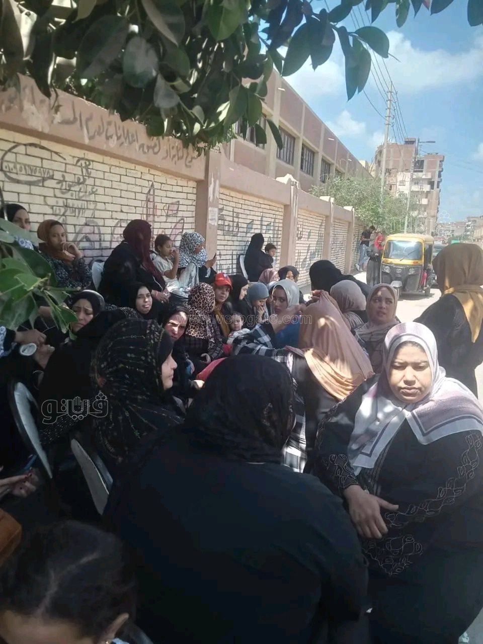 الريف يتصدر المشهد.. طوابير الناخبين تمتد أمام لجان انتخابات الشيوخ بالشرقية،فيتو