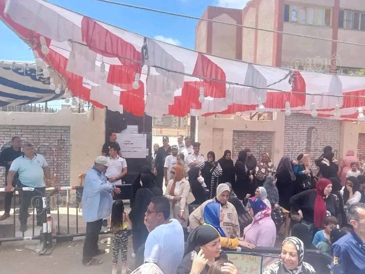 انتخابات مجلس الشيوخ ببورسعيد، فيتو