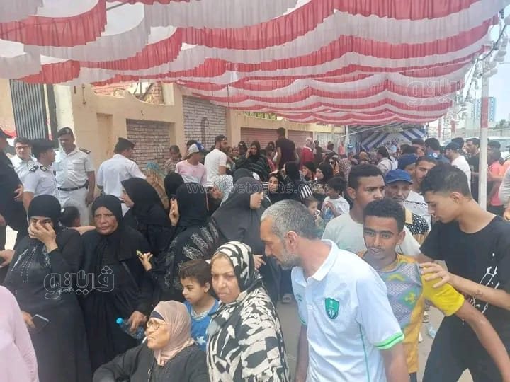 انتخابات مجلس الشيوخ ببورسعيد، فيتو