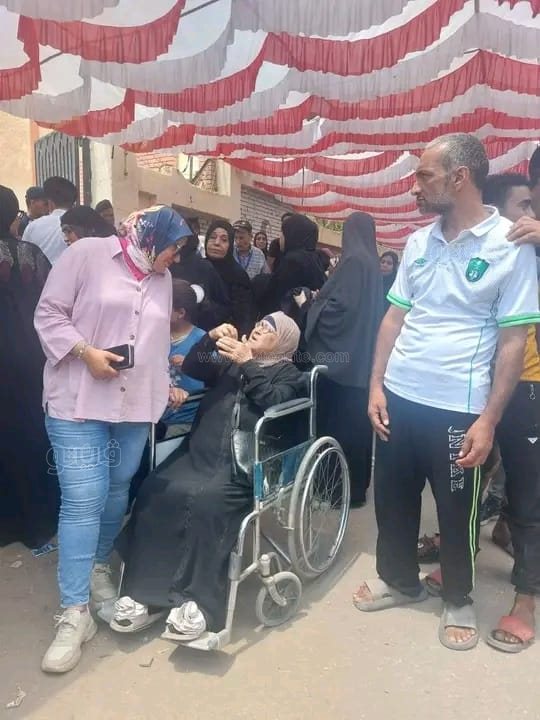 انتخابات مجلس الشيوخ ببورسعيد، فيتو