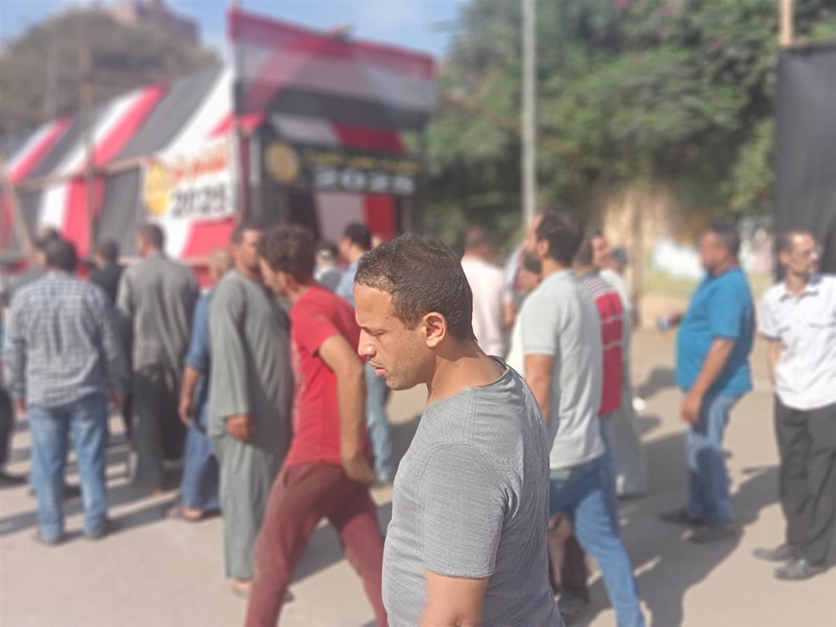 انتخابات الشيوخ بالقليوبيه،فيتو