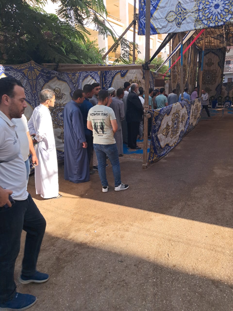 انتخابات الشيوخ بالقليوبيه،فيتو