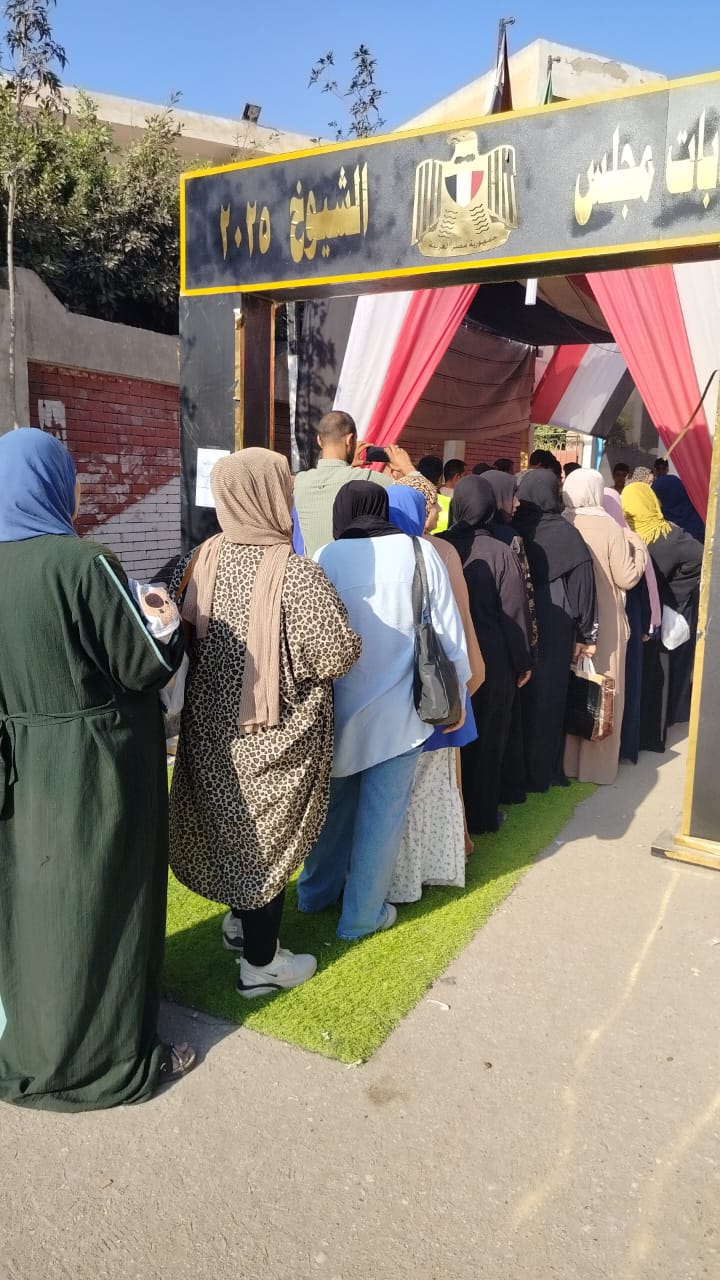 انتخابات الشيوخ بالقليوبيه،فيتو