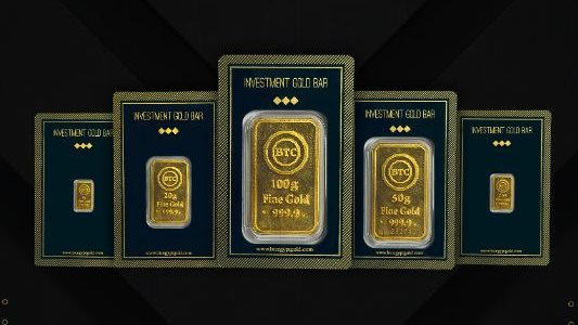 سبائك الذهب - فيتو 