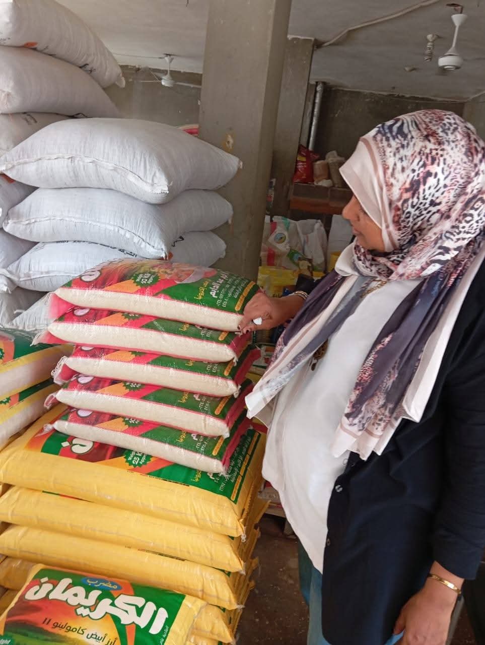 جانب من الحملات، فيتو