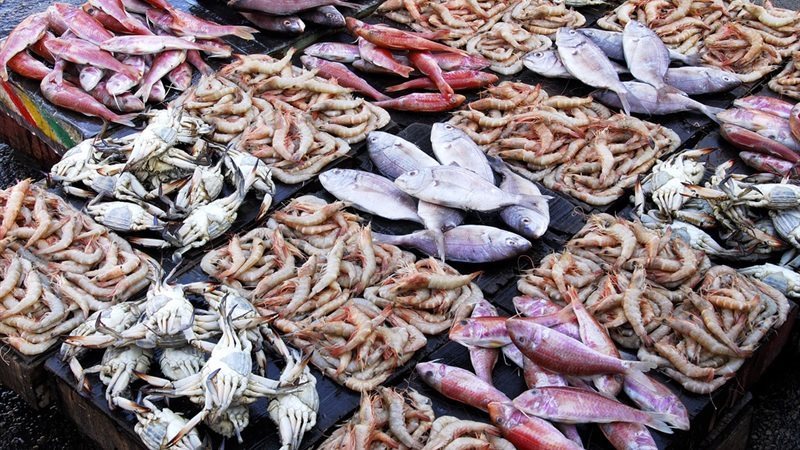 <strong>سعر السمك اليوم</strong>