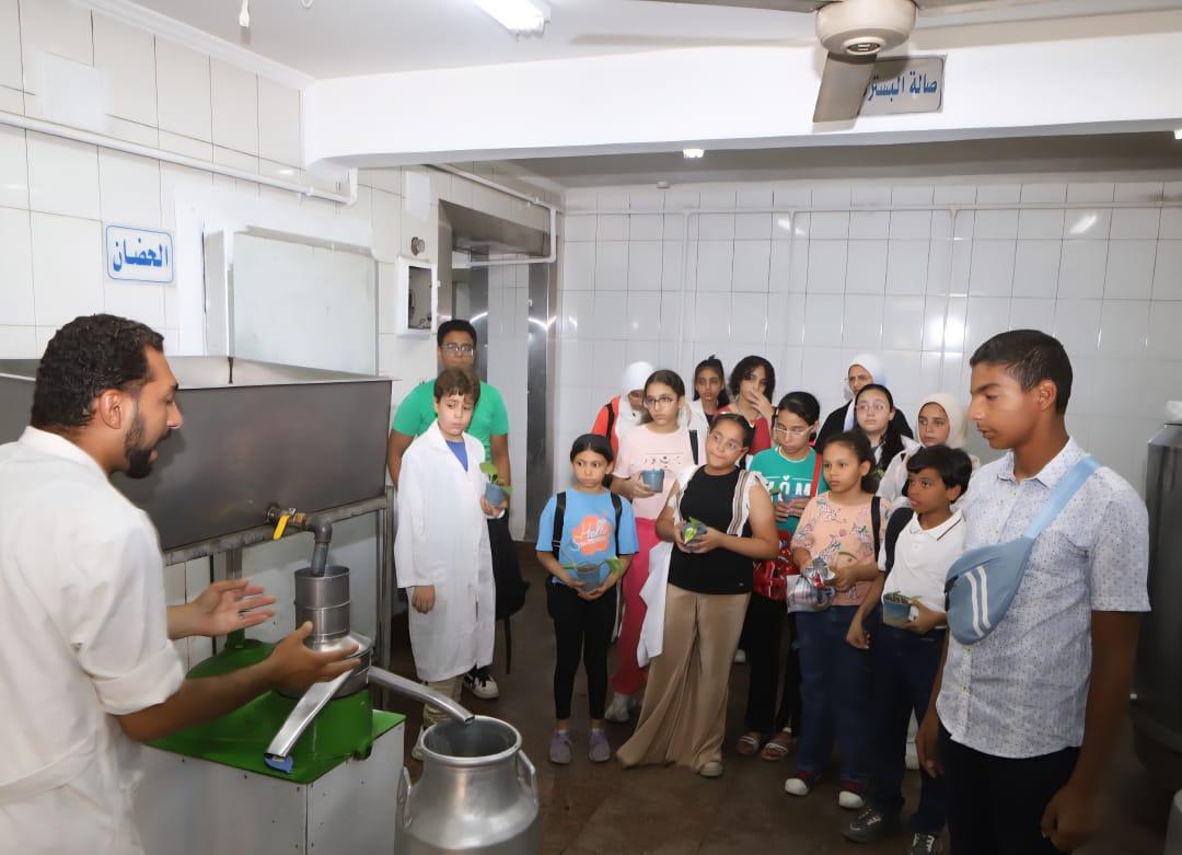 برنامج جامعة الطفل بجامعة القاهرة