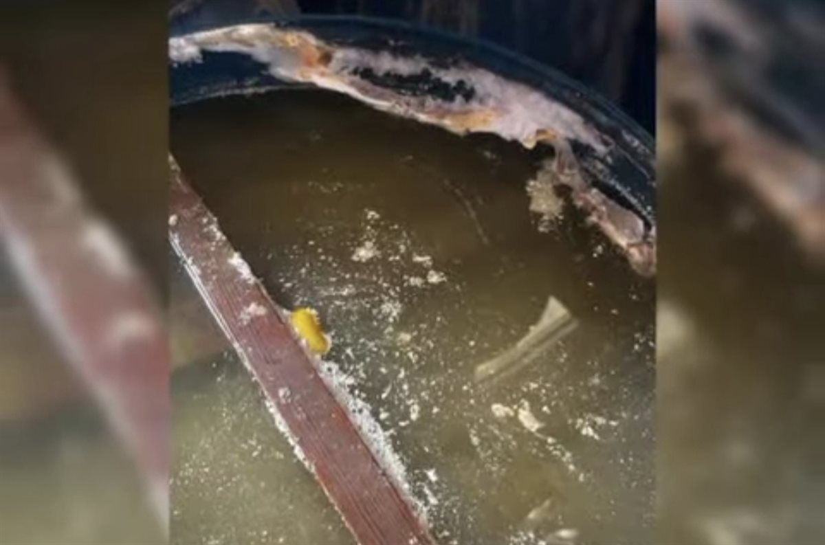 ضبط،3 طن مخللات غير صالح بالقليوبية،فيتو