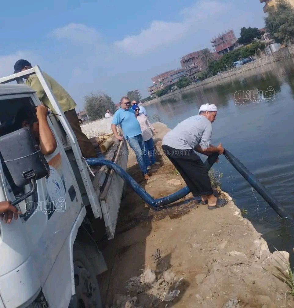 استزراع نصف مليون بلطي و300 ألف مبروك بالشرقية لتعزيز الثروة السمكية وتحقيق الاكتفاء الذاتي،فيتو