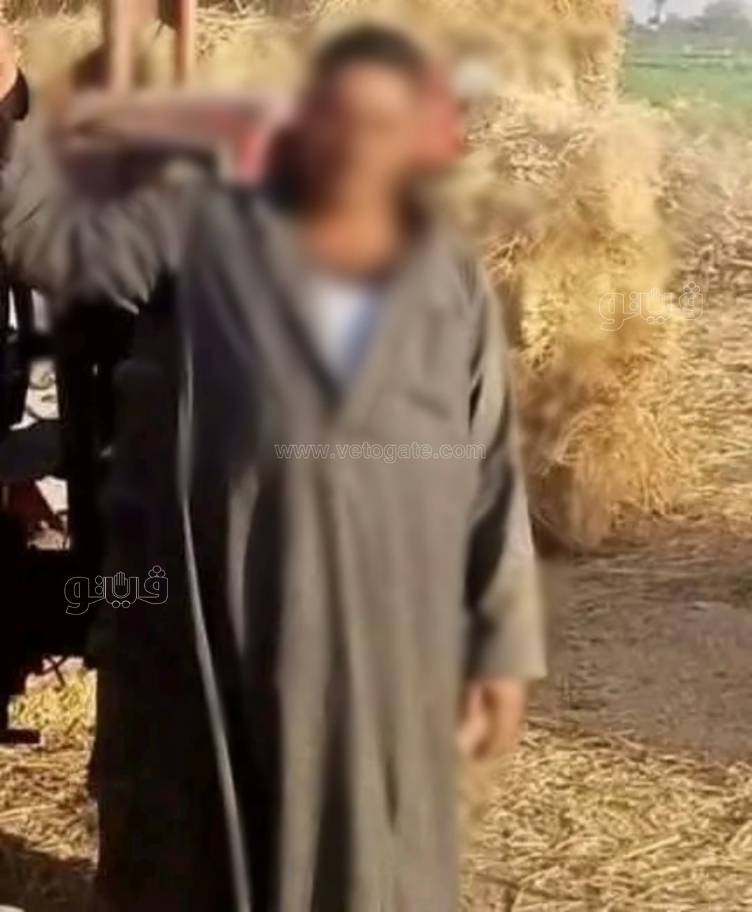 المجني عليه،فيتو