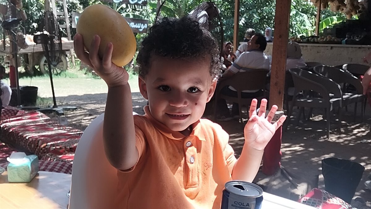 فرحة الأطفال بالمانجو، فيتو