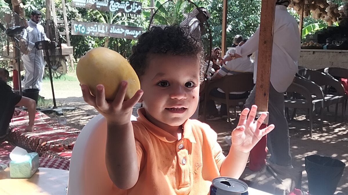 فرحة الأطفال بالمانجو، فيتو