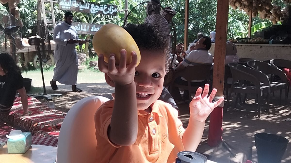 فرحة الأطفال بالمانجو، فيتو