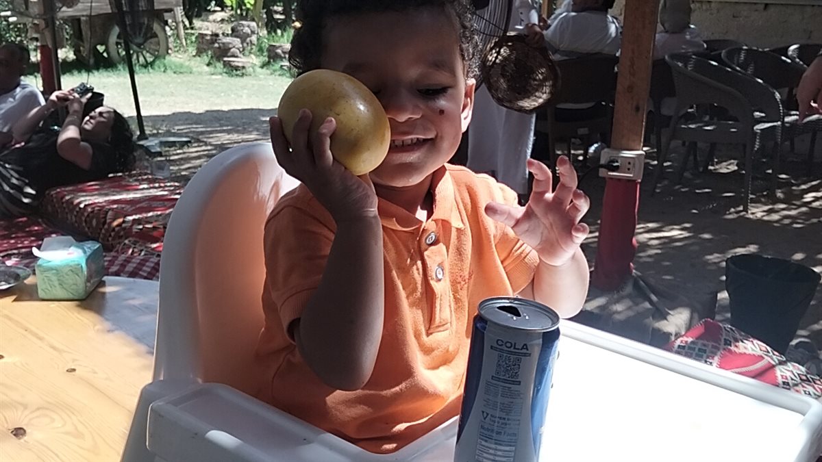 فرحة الأطفال بالمانجو، فيتو