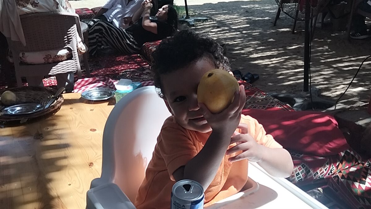 فرحة الأطفال بالمانجو، فيتو