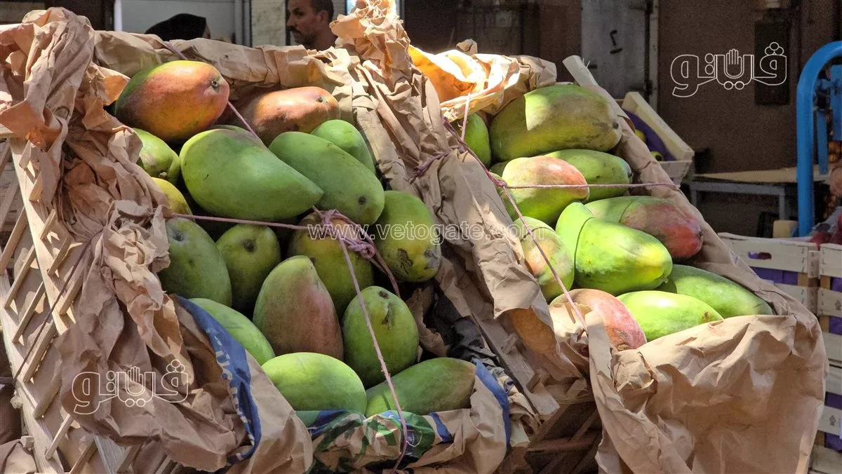 <strong>سعر المانجو اليوم في سوق العبور، فيتو</strong>