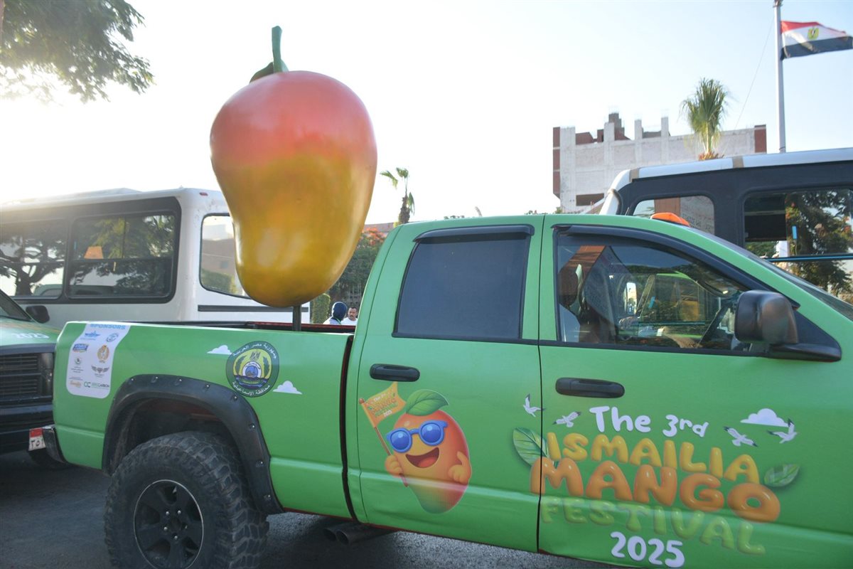 شعار مهرجان الإسماعيلية، فيتو