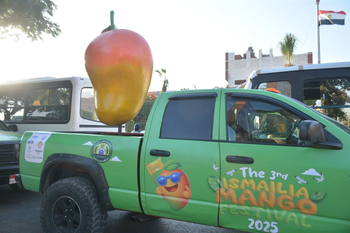 شعار مهرجان الإسماعيلية، فيتو