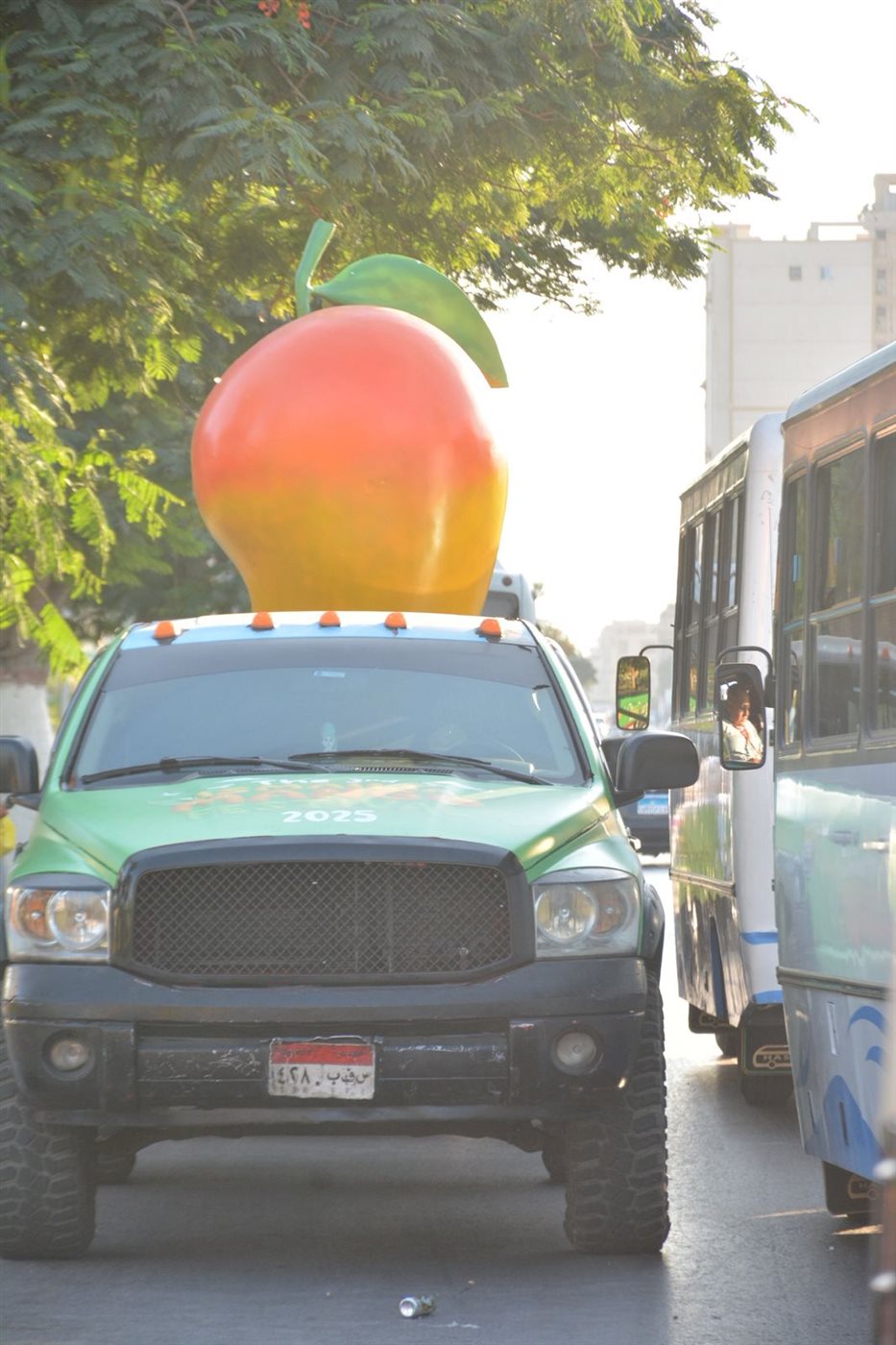 شعار مهرجان الإسماعيلية، فيتو