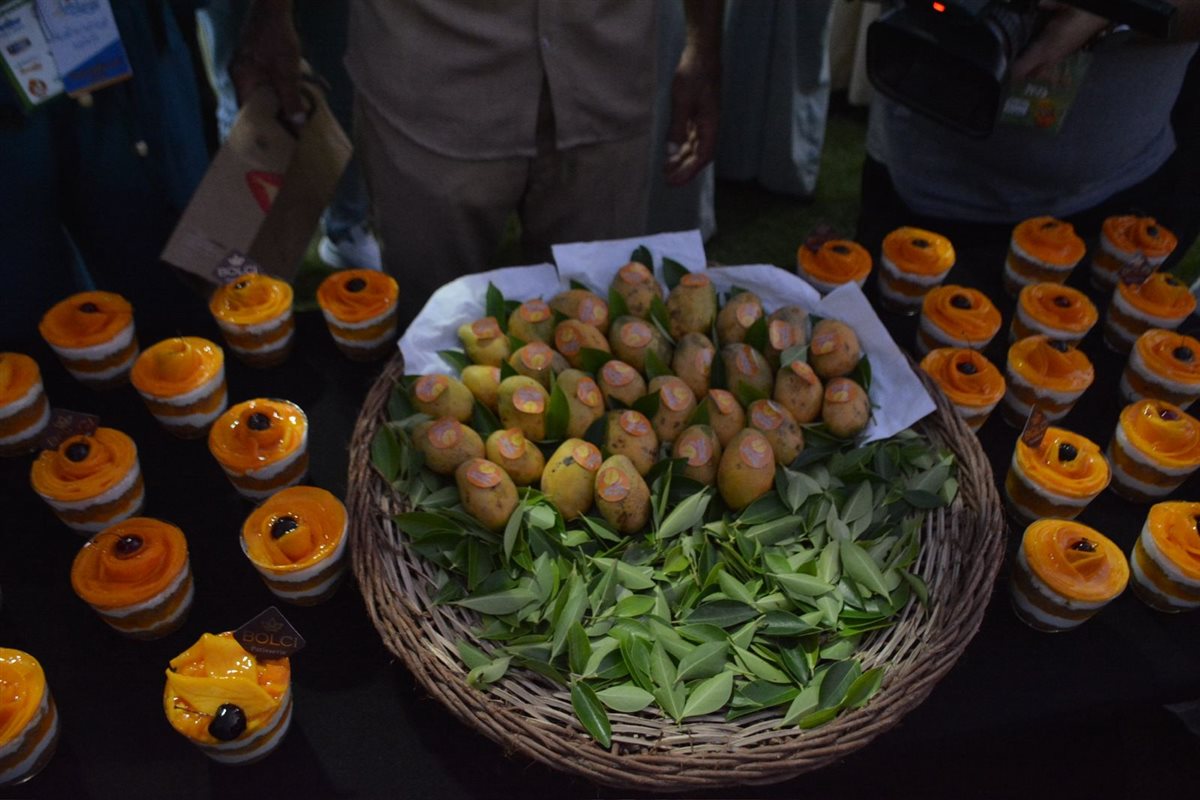 جانب من أنواع المانجو، فيتو