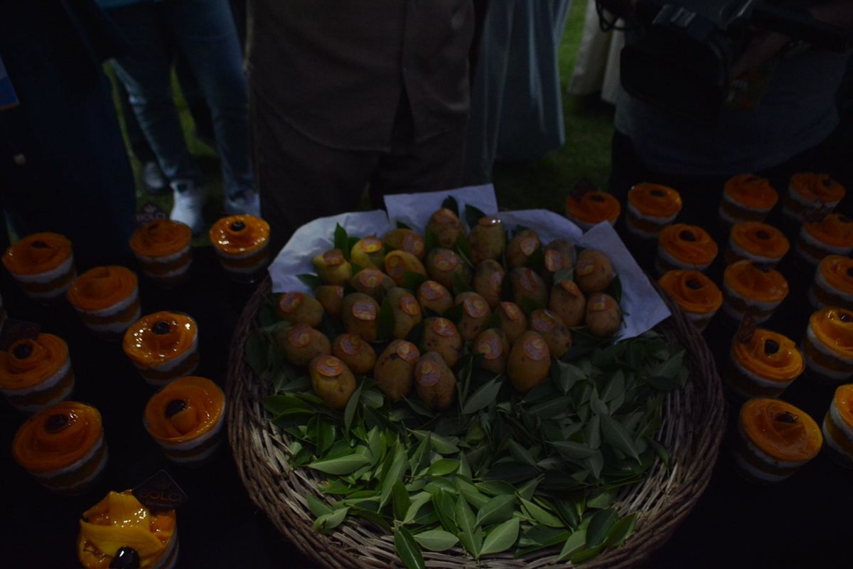 جانب من أنواع المانجو، فيتو