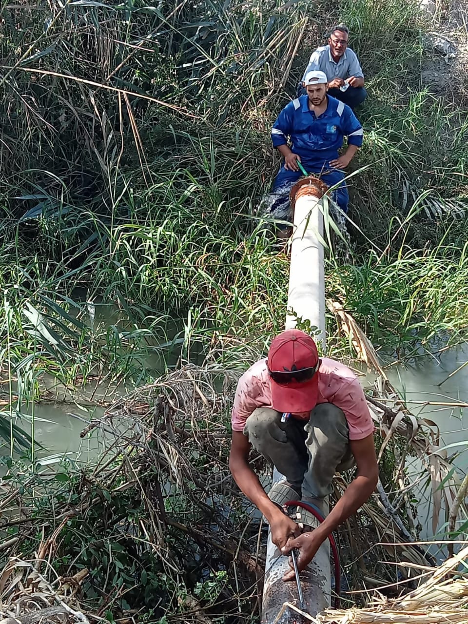 جانب من أعمال الإصلاح، فيتو
