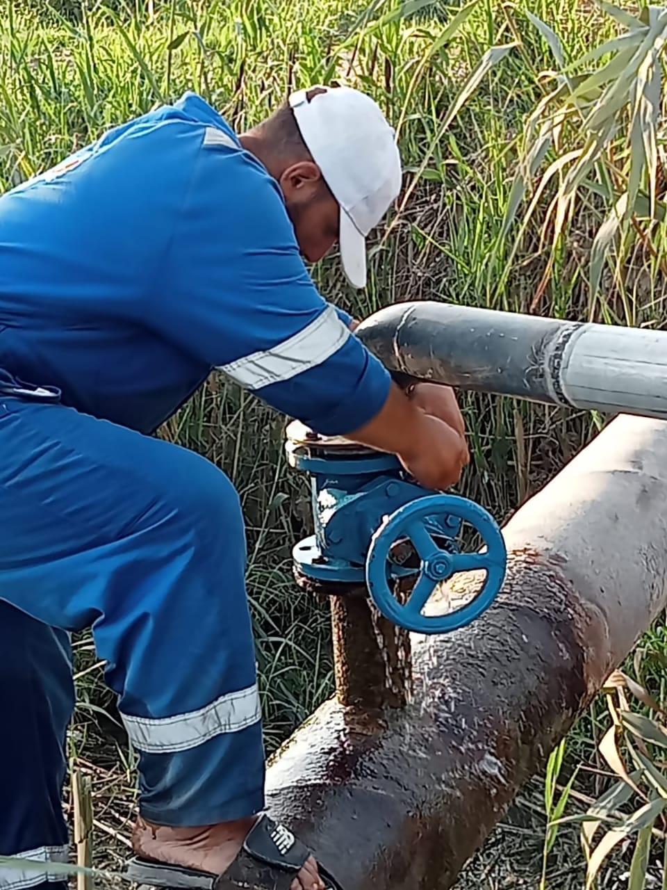 جانب من أعمال الإصلاح، فيتو