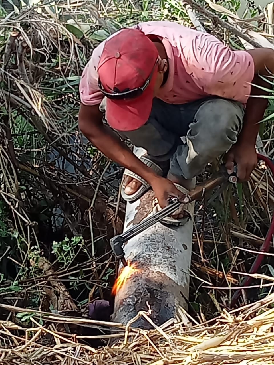 جانب من أعمال الإصلاح، فيتو