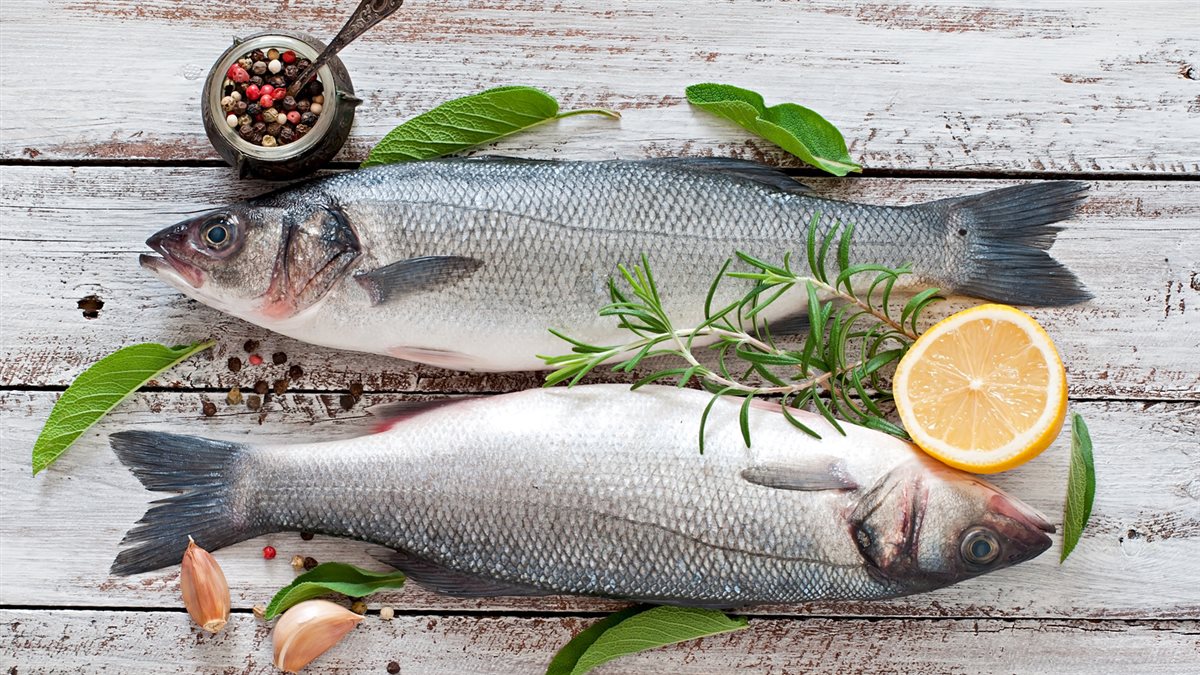 <strong>سعر السمك اليوم </strong>