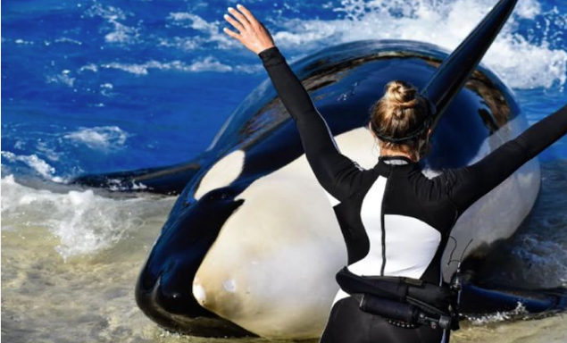 حقيقة المدربة جيسكا رادكليف، فيتو