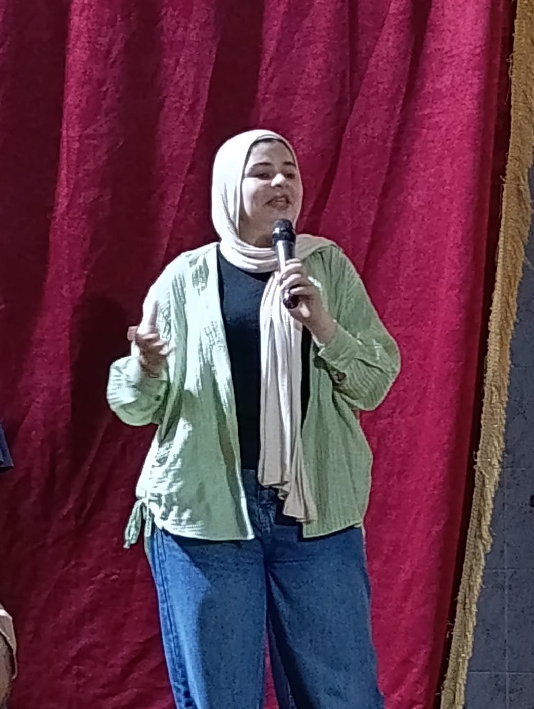 جانب من الفاعليات، فيتو