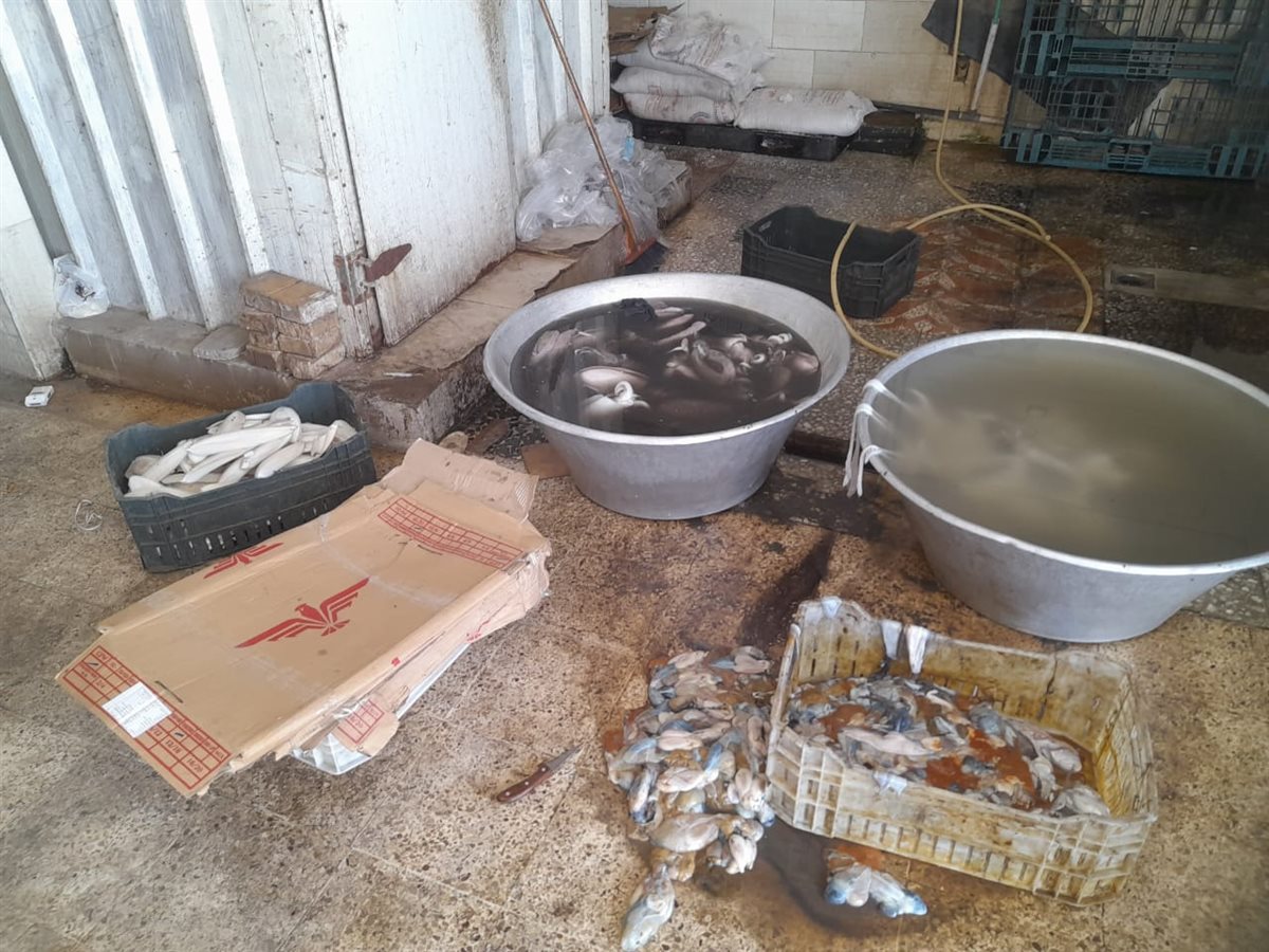 جانب من الحملة، فيتو