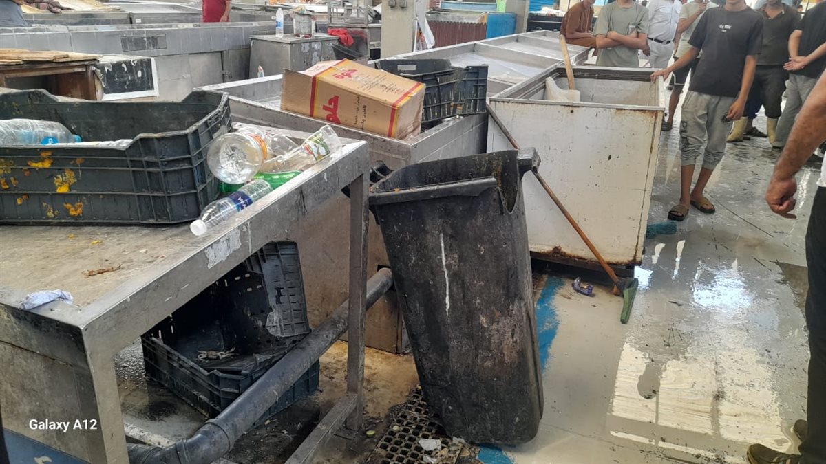 جانب من الحملة، فيتو