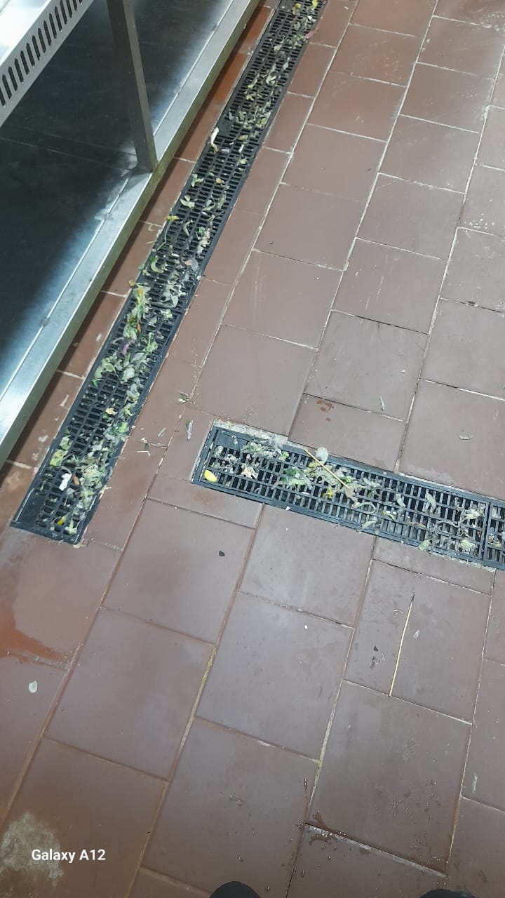 جانب من الحملة، فيتو