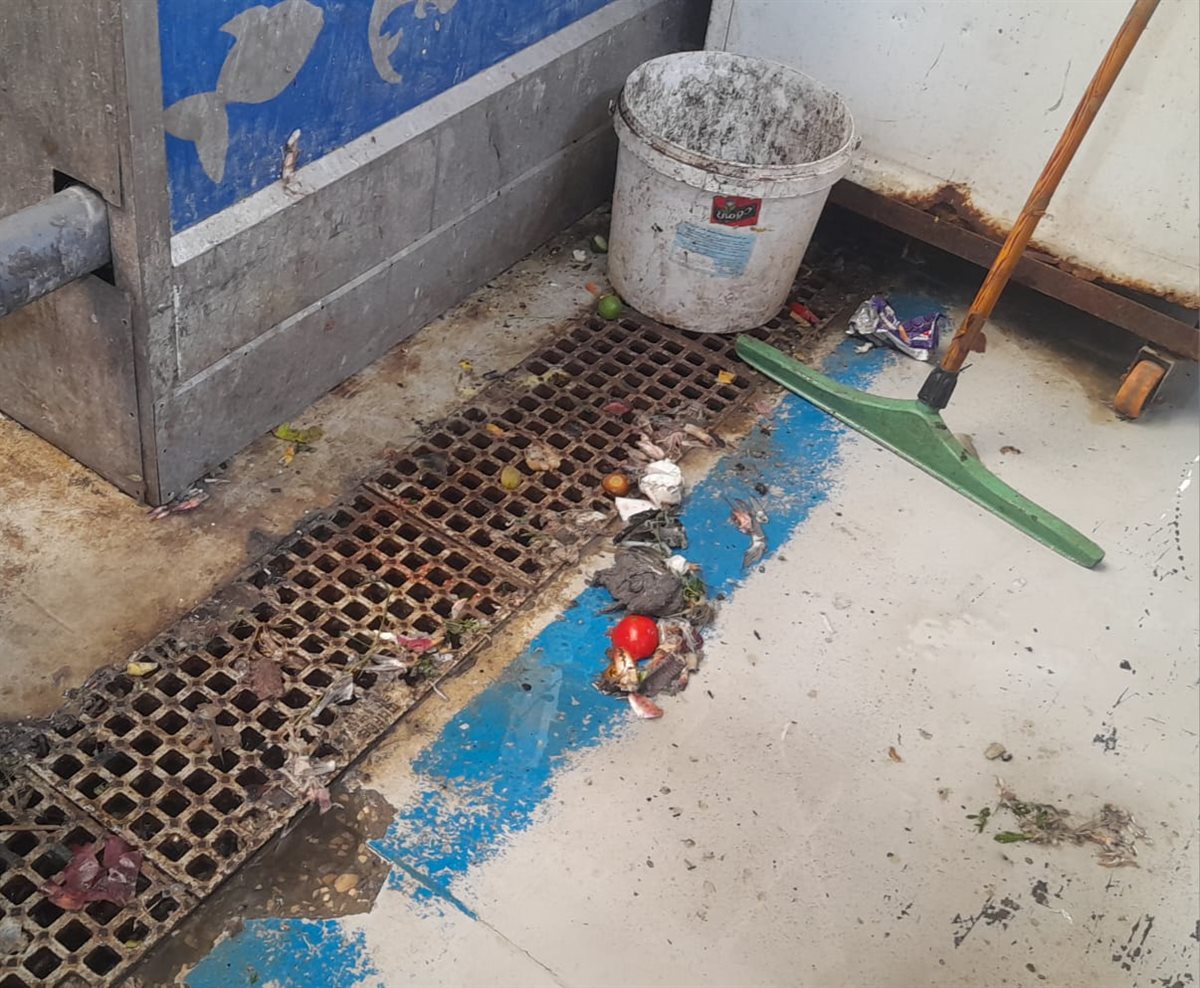 جانب من الحملة، فيتو