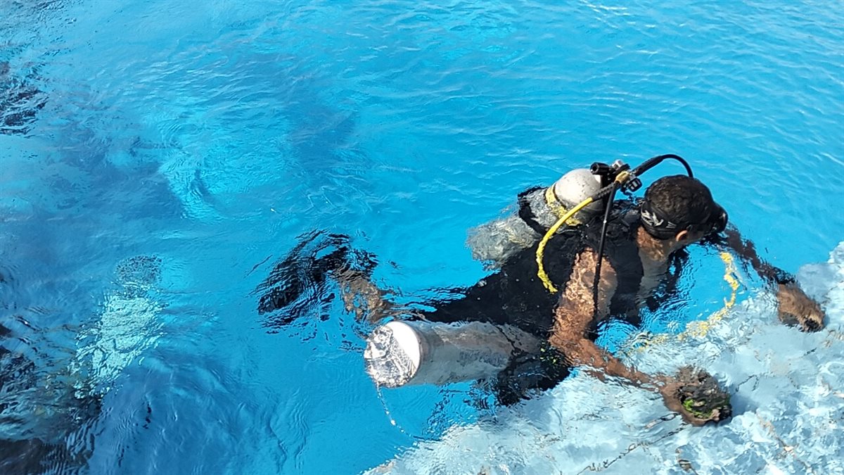 لحظة خروج ولاء حافظ من المياه، فيتو