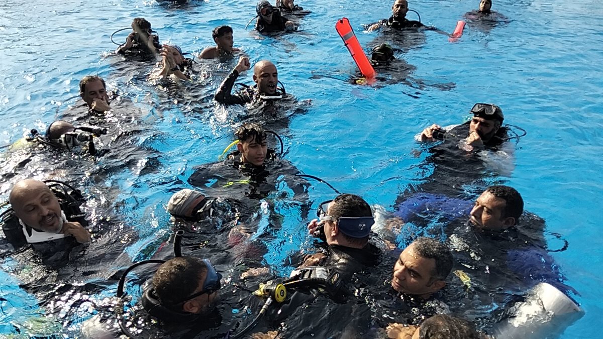 لحظة خروج ولاء حافظ من المياه، فيتو