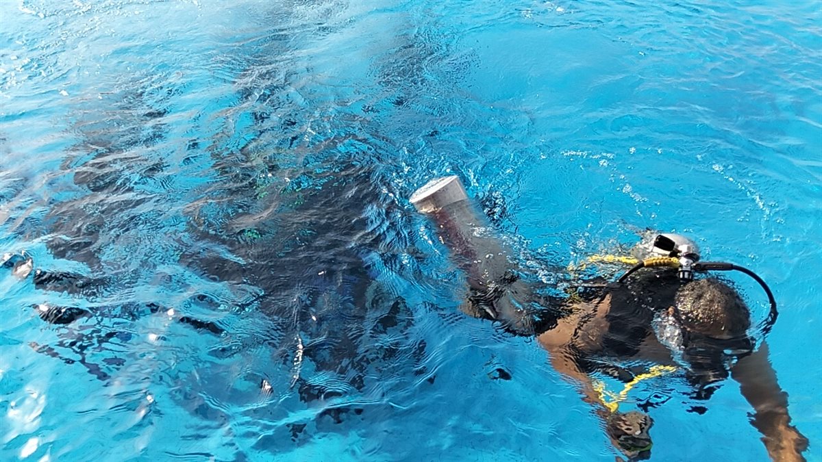 لحظة خروج ولاء حافظ من المياه، فيتو