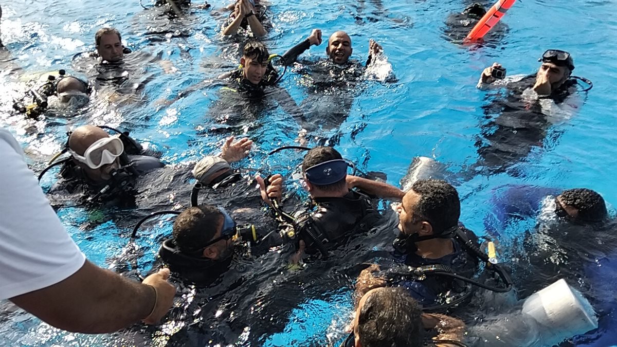 لحظة خروج ولاء حافظ من المياه، فيتو